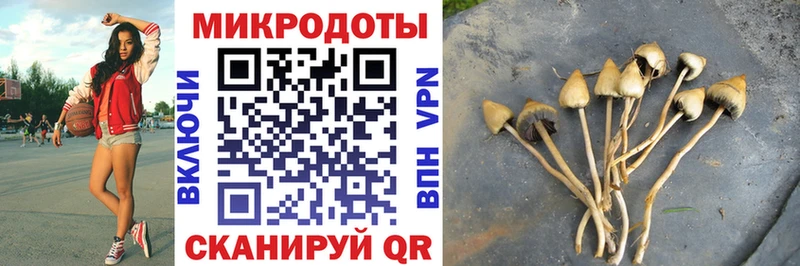 Псилоцибиновые грибы Cubensis  ссылка на мегу ONION  Саяногорск 